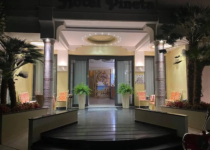 Hotel Pineta