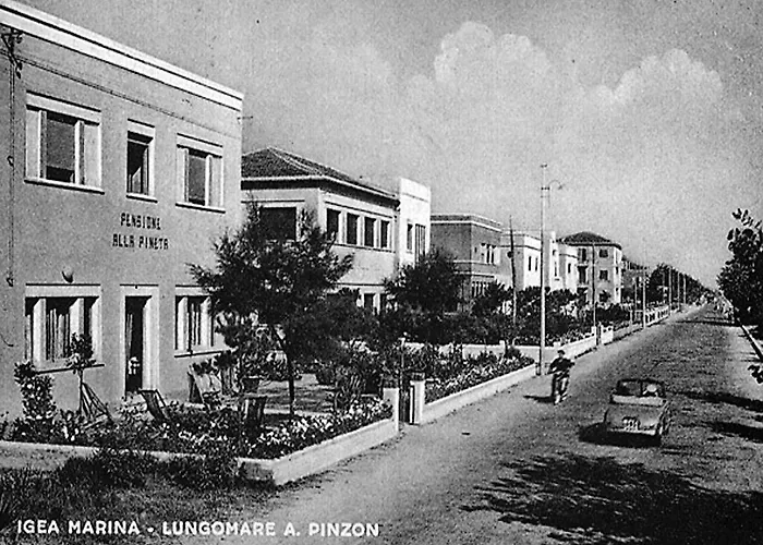 Hotel Pineta Bellaria-Igea Marina
