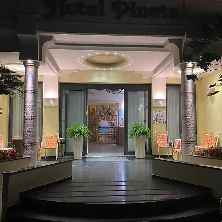 Hotel Pineta
