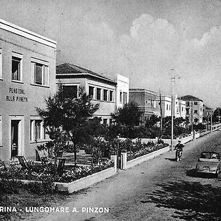 Hotel Pineta Bellaria-Igea Marina