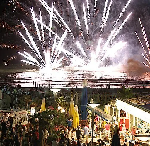 Pineta Hotel Bellaria-Igea Marina